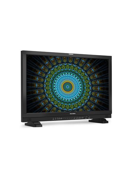 Monitor FHD 10BIT LCD, with HDR