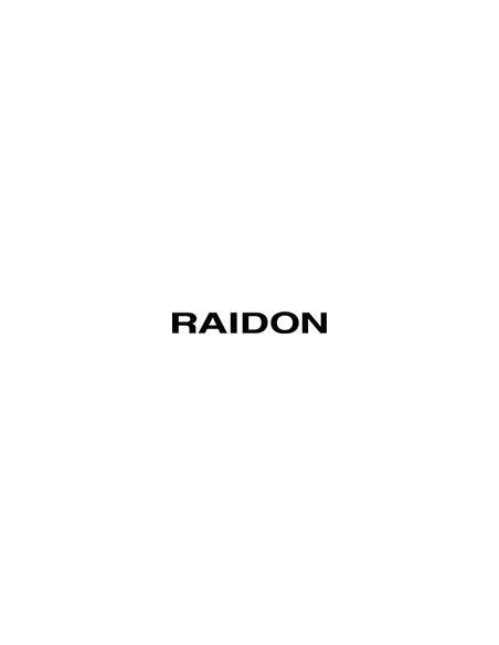 Raidon